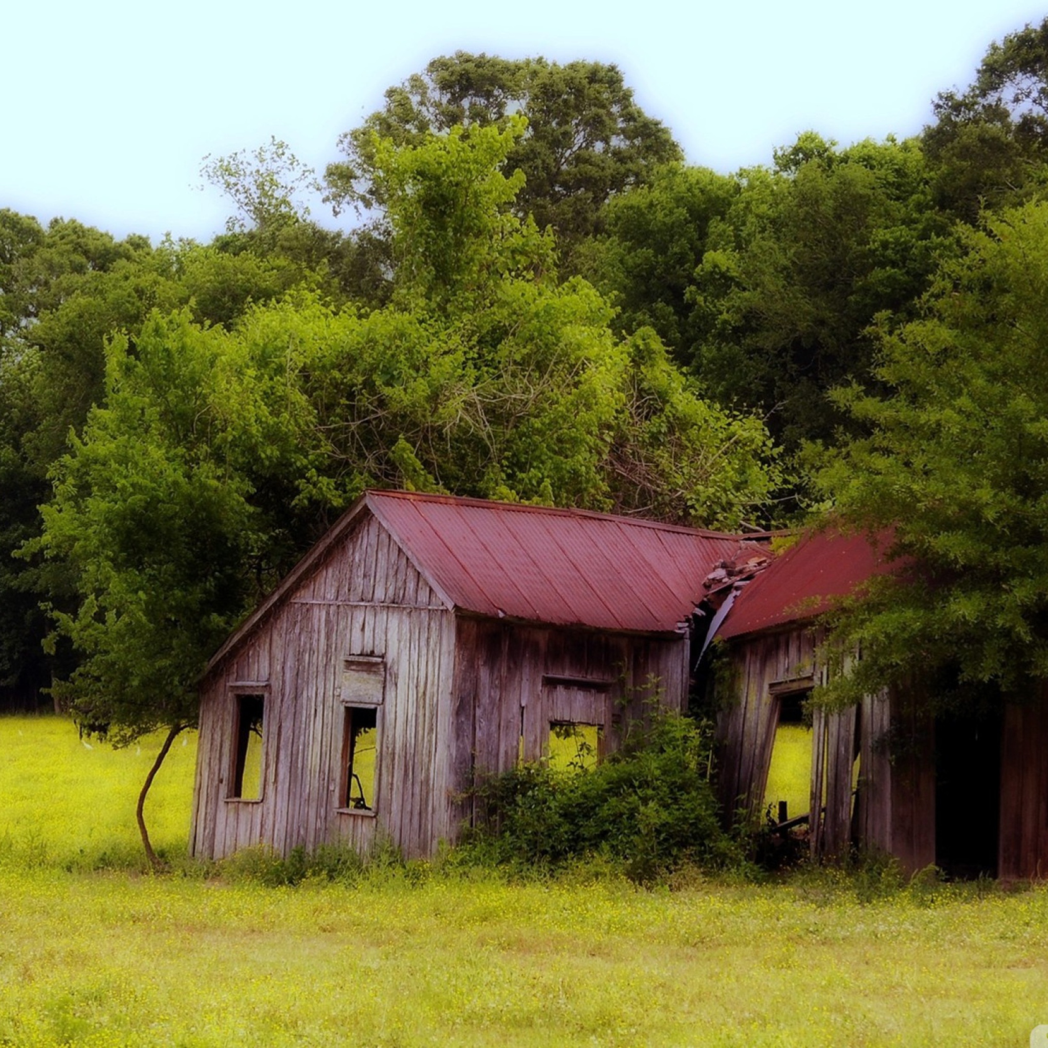 Screenshot №1 pro téma House In The Forest 2048x2048