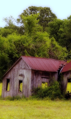 House In The Forest screenshot #1 240x400