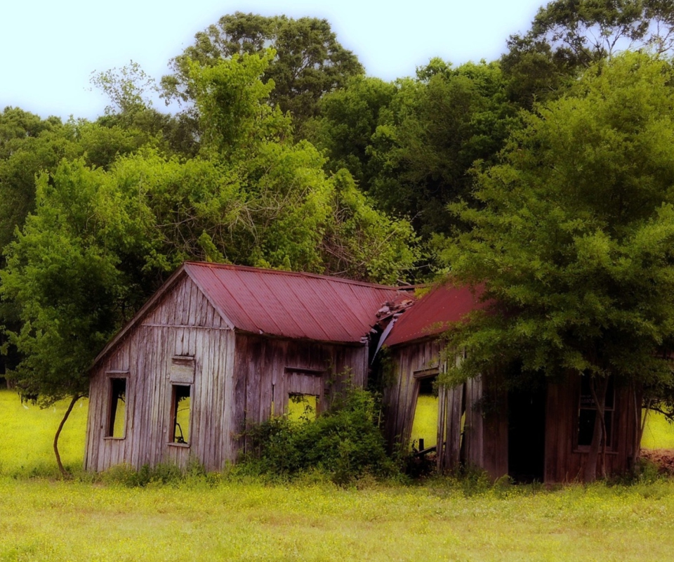 Fondo de pantalla House In The Forest 960x800