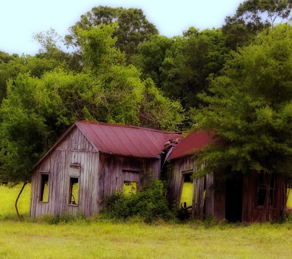 House In The Forest wallpaper 960x854