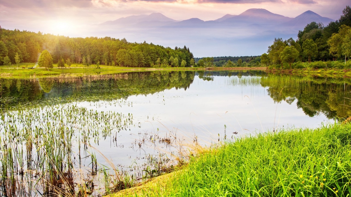 Summer Landscape Background screenshot #1 1366x768