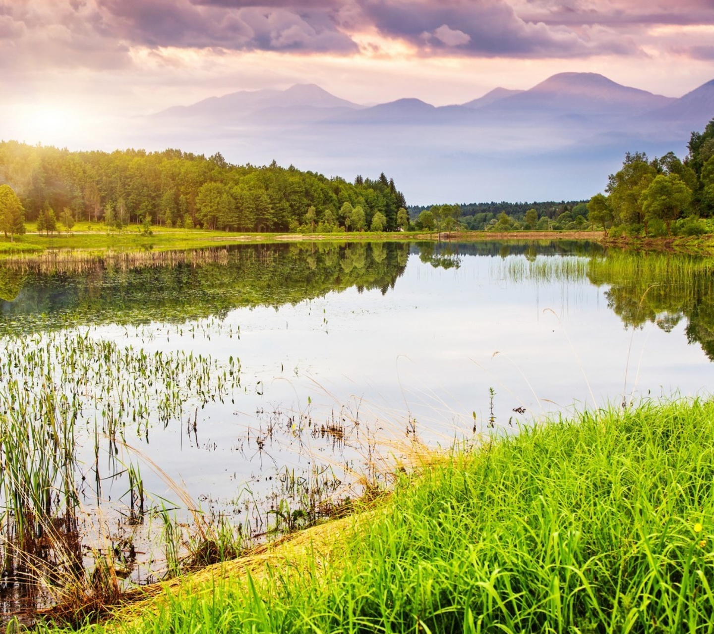 Sfondi Summer Landscape Background 1440x1280