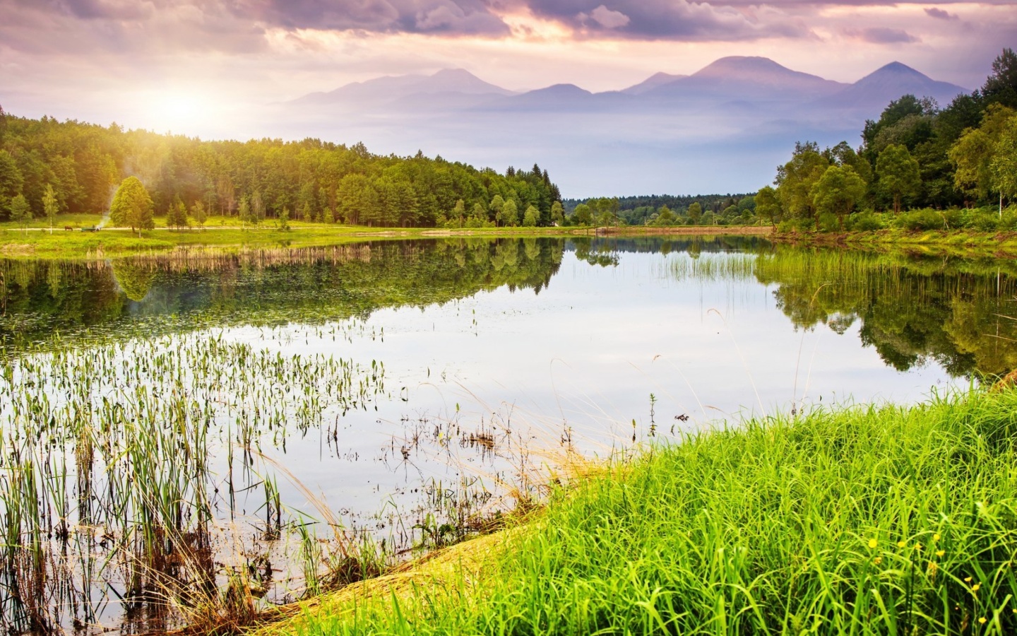 Summer Landscape Background screenshot #1 1440x900