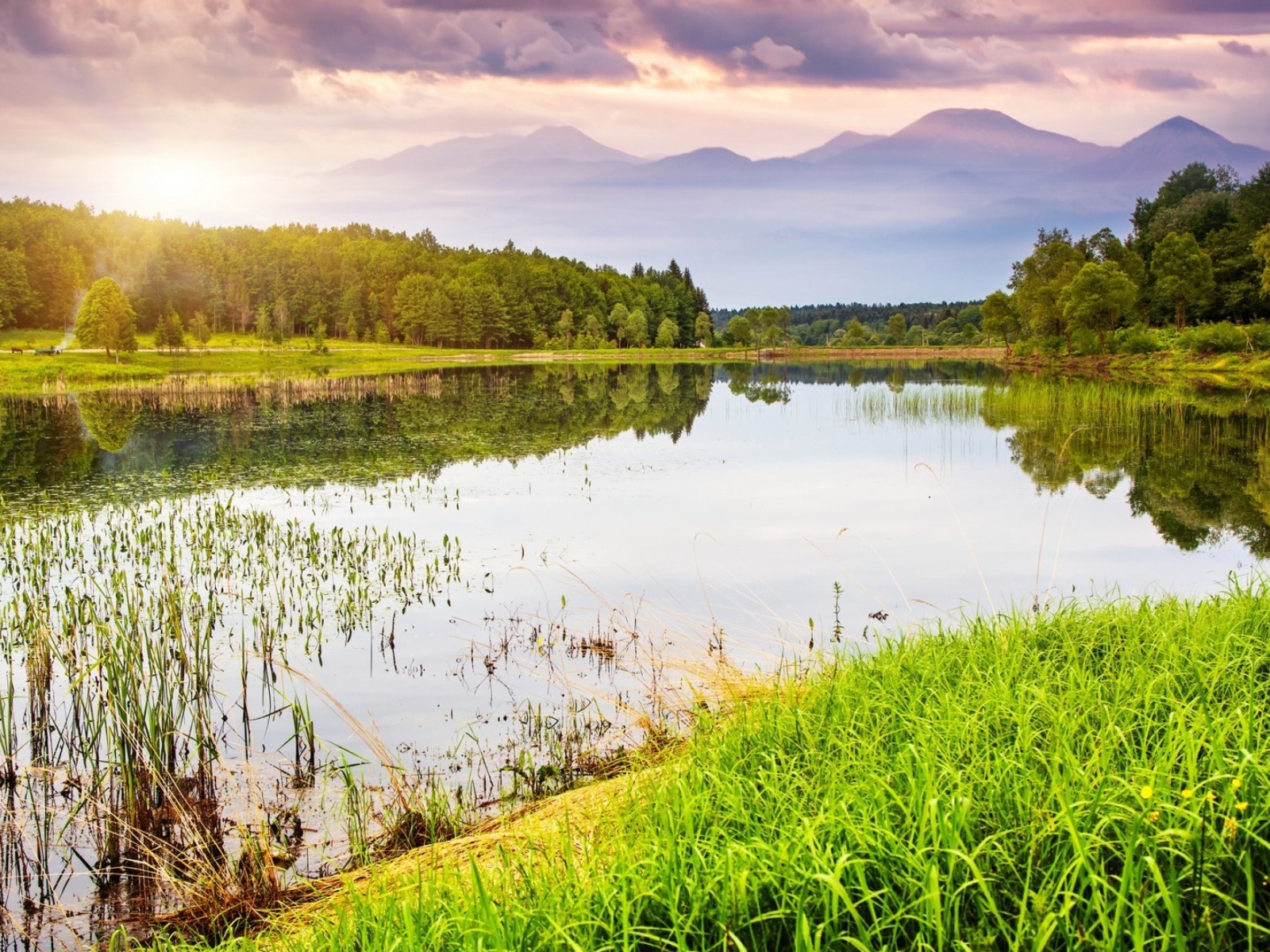 Summer Landscape Background screenshot #1 1600x1200