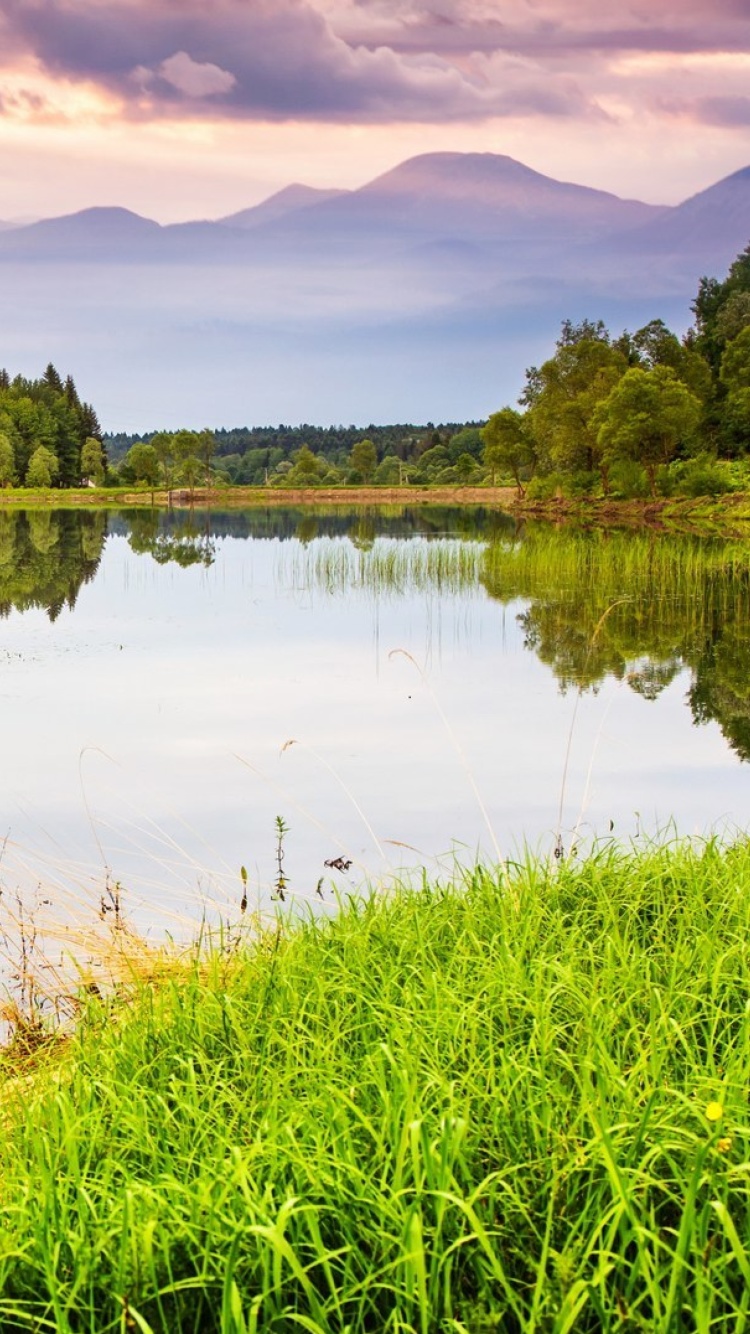 Summer Landscape Background screenshot #1 750x1334