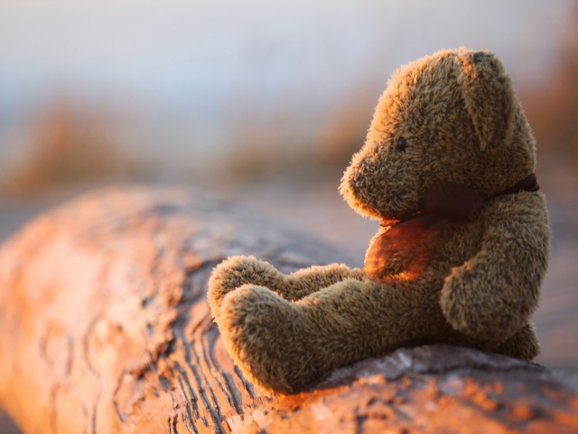 Sfondi Lonely Teddy Bear 640x480