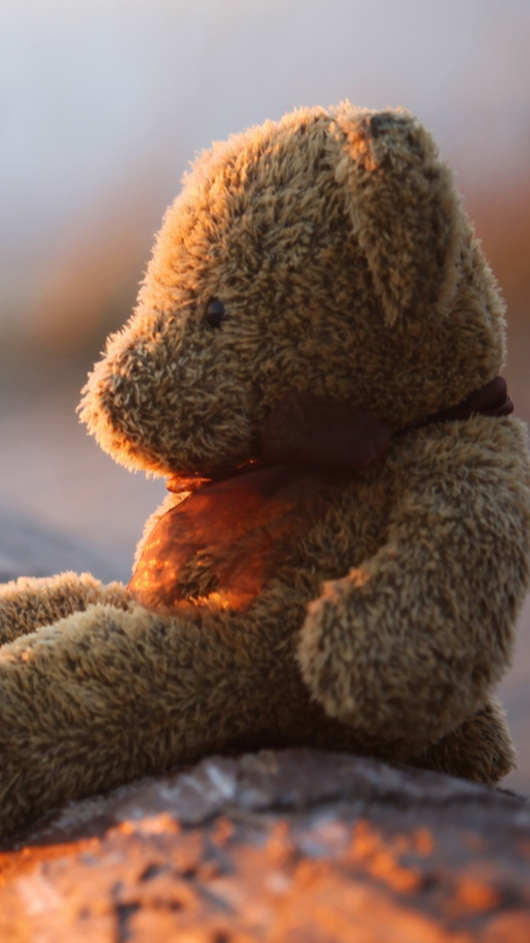 Fondo de pantalla Lonely Teddy Bear 750x1334