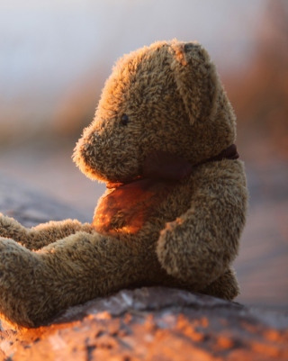 Lonely Teddy Bear - Obrázkek zdarma pro 132x176