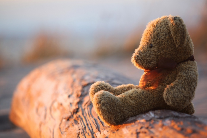 Sfondi Lonely Teddy Bear