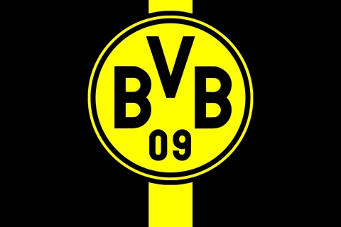 Screenshot №1 pro téma Borussia Dortmund (BVB) 480x320