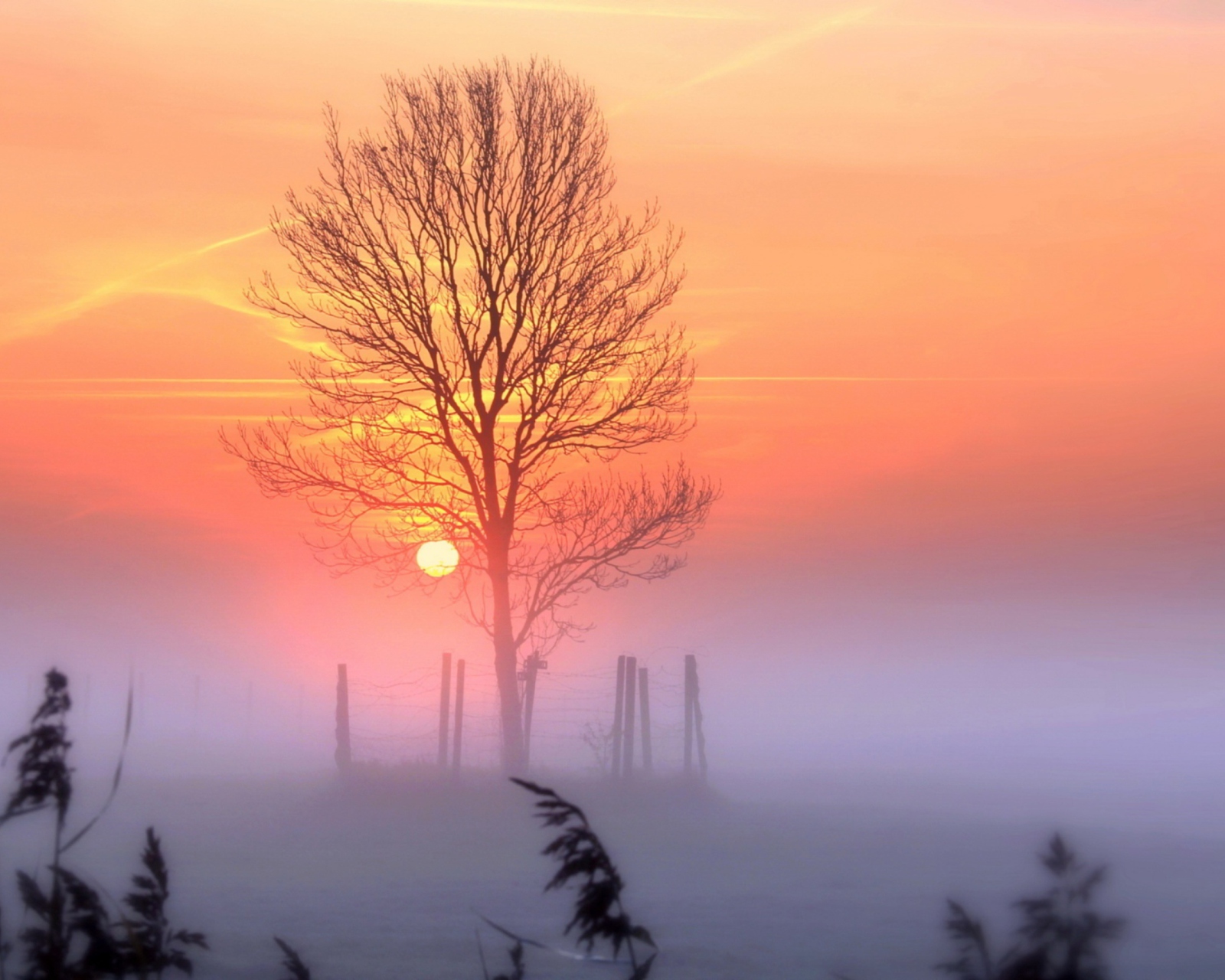 Sunset And Mist wallpaper 1600x1280