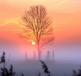 Картинка Sunset And Mist на телефон iPad Air