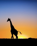 Screenshot №1 pro téma Safari At Sunset - Giraffe's Silhouette 128x160
