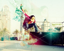 Skater Boy wallpaper 220x176