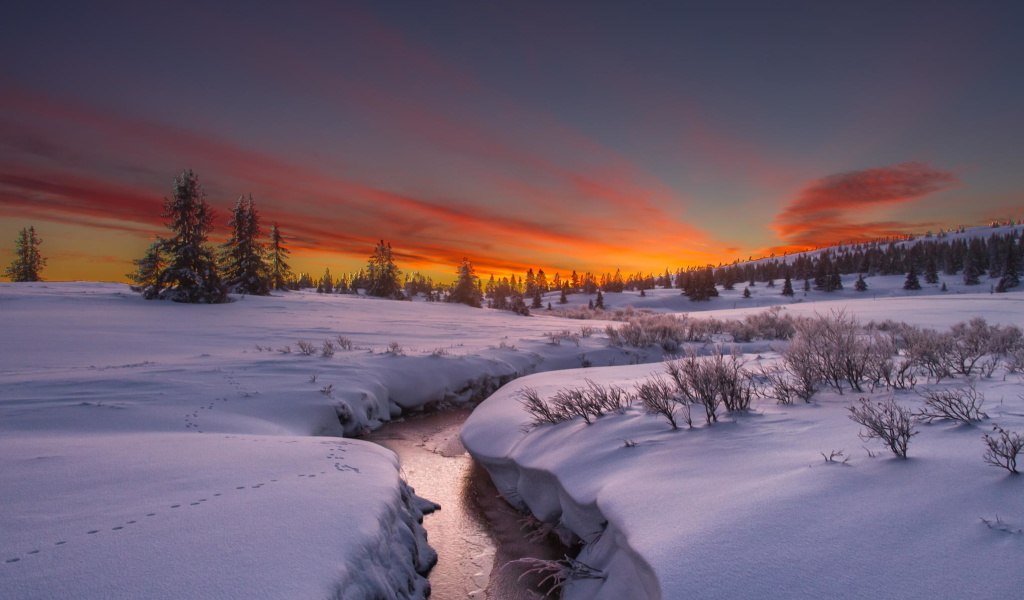 Snow Landscape screenshot #1 1024x600