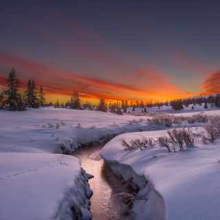 Snow Landscape - Obrázkek zdarma pro iPad Air