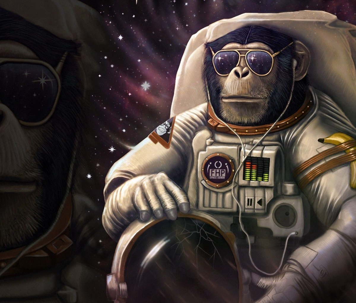 Monkeys and apes in space wallpaper 1200x1024