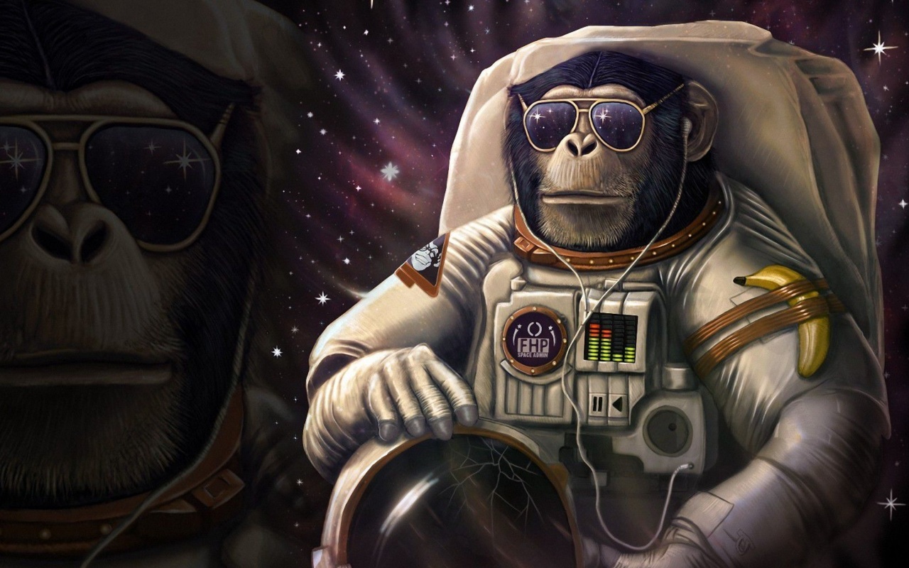 Das Monkeys and apes in space Wallpaper 1280x800