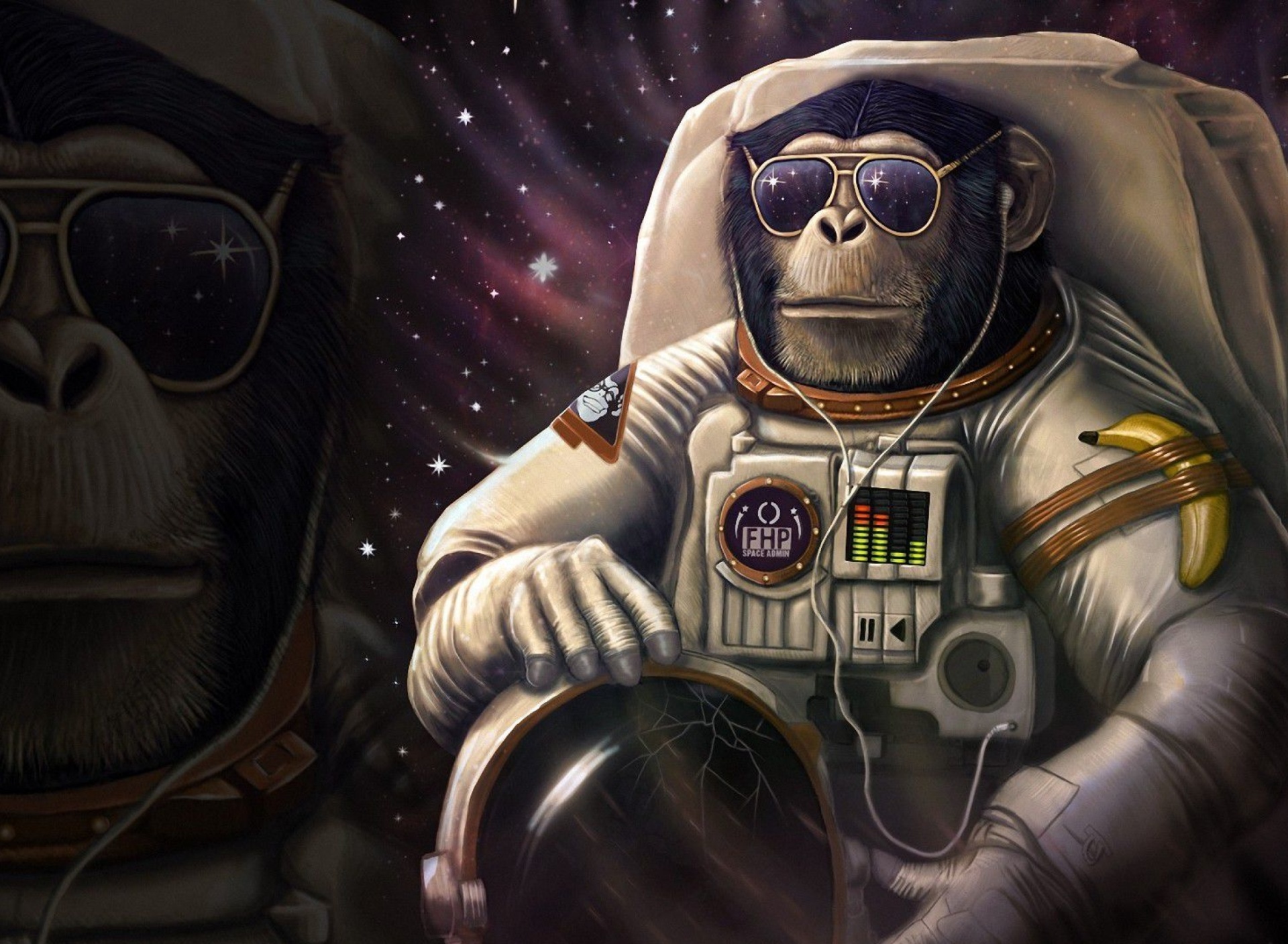 Обои Monkeys and apes in space 1920x1408