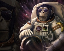 Monkeys and apes in space wallpaper 220x176