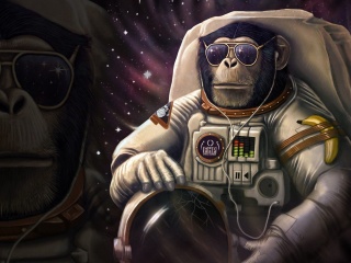 Das Monkeys and apes in space Wallpaper 320x240