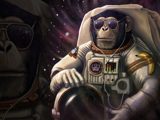 Monkeys and apes in space wallpaper 640x480