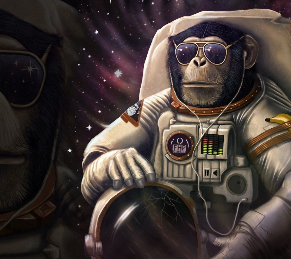 Fondo de pantalla Monkeys and apes in space 960x854