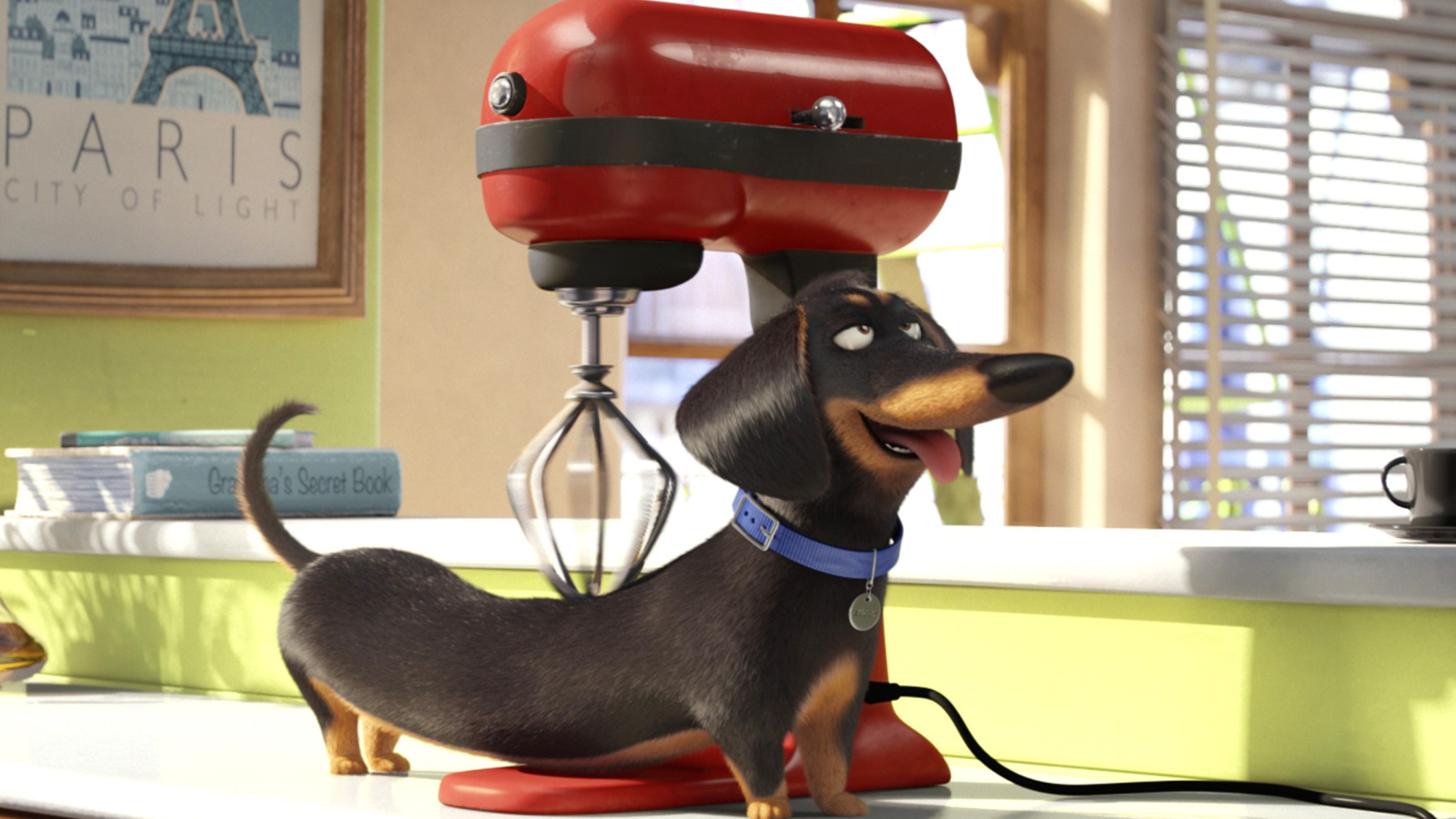 Screenshot №1 pro téma The Secret Life of Pets 1600x900