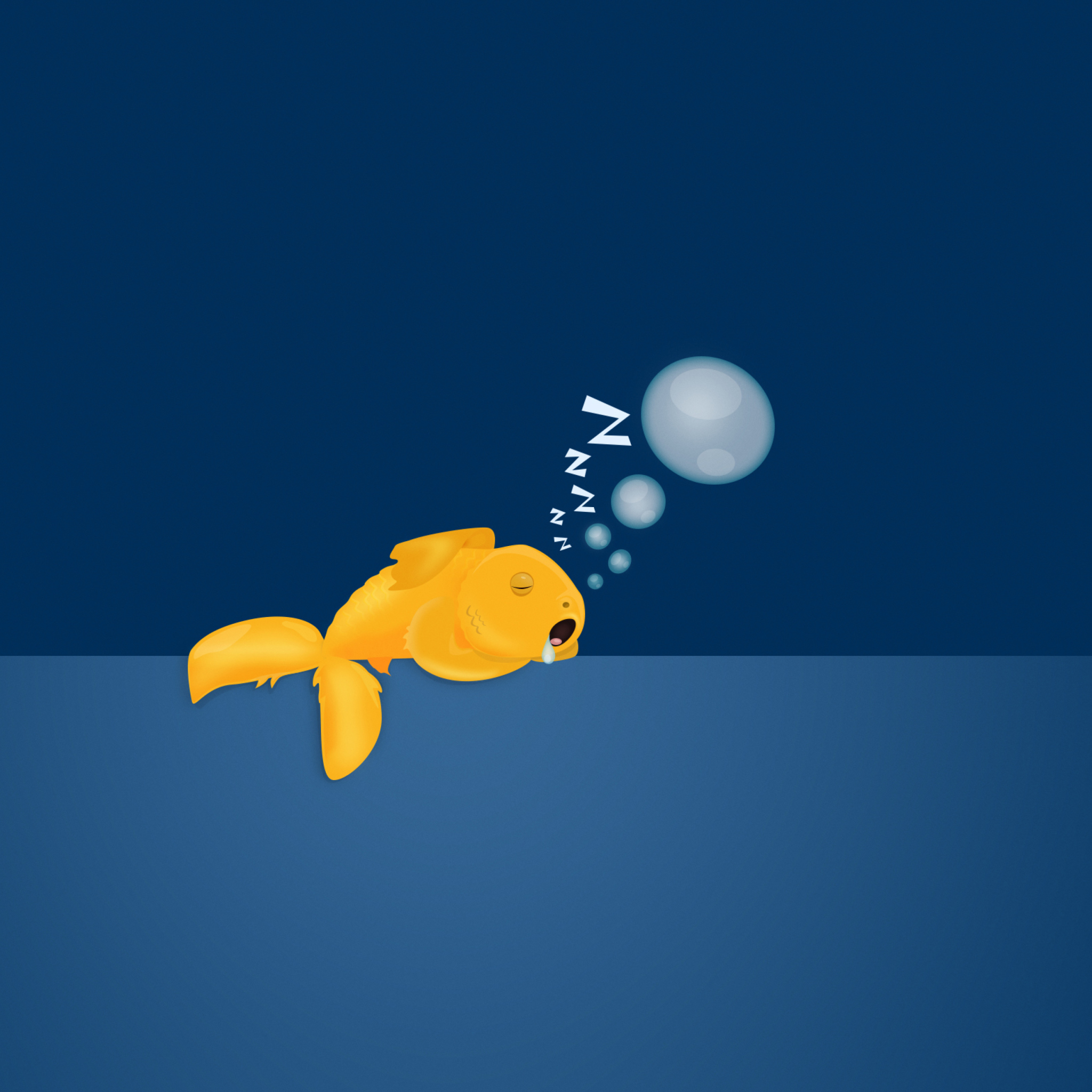Fondo de pantalla Sleepy Goldfish 2048x2048