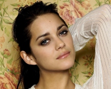 Screenshot №1 pro téma Marion Cotillard 220x176