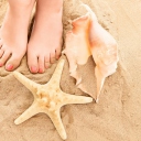 Sfondi Seashell, Seastar And Sandy Feet 128x128