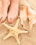 Seashell, Seastar And Sandy Feet screenshot #1 128x160