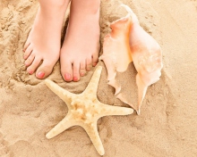 Screenshot №1 pro téma Seashell, Seastar And Sandy Feet 220x176