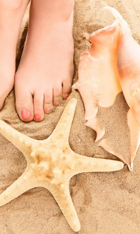Seashell, Seastar And Sandy Feet screenshot #1 480x800