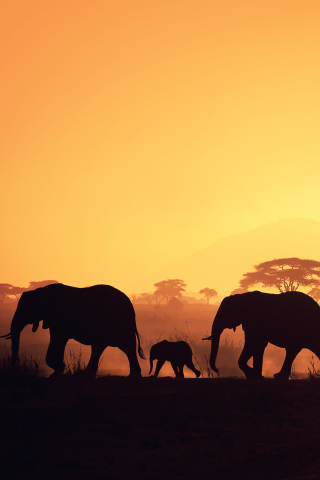 Screenshot №1 pro téma African Silhouettes 320x480