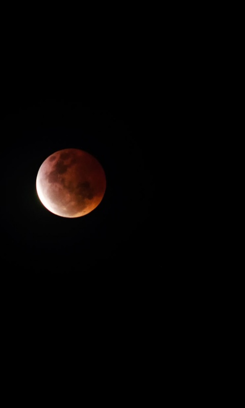 Moon Eclipse screenshot #1 480x800