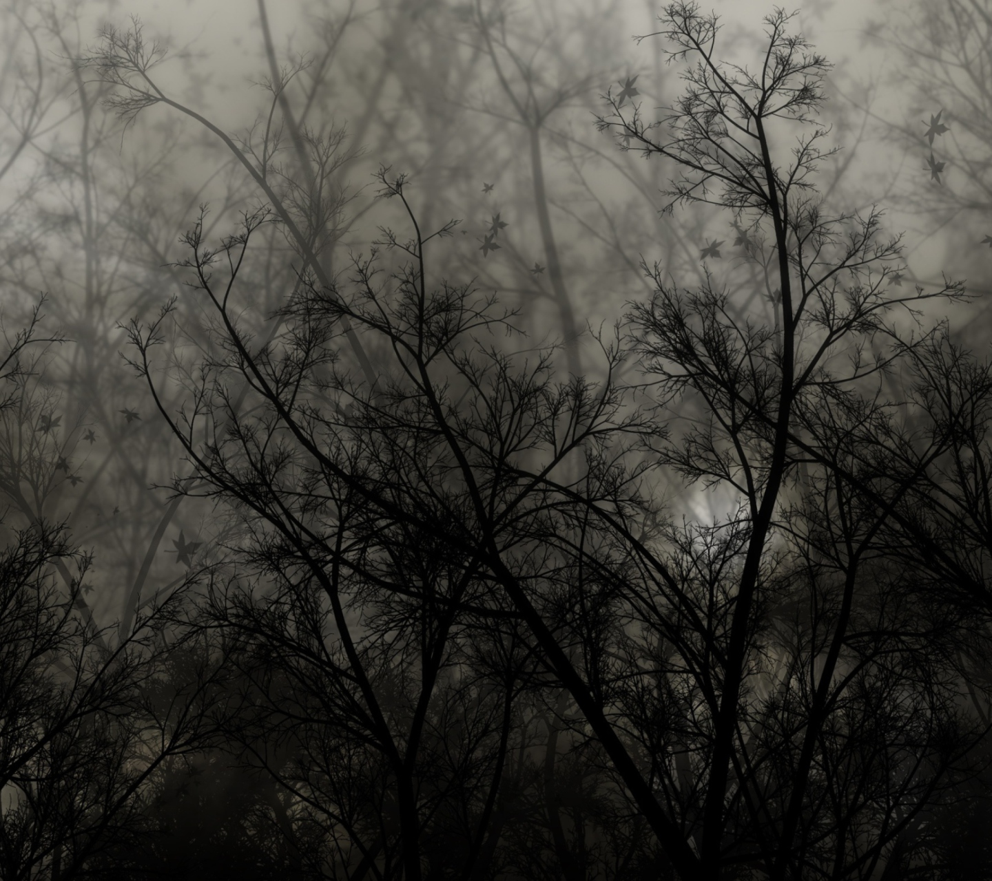 Sfondi Dark Forest 1440x1280
