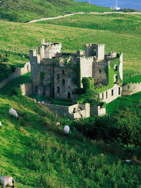 Screenshot №1 pro téma Medieval Castle On Green Hill 480x640