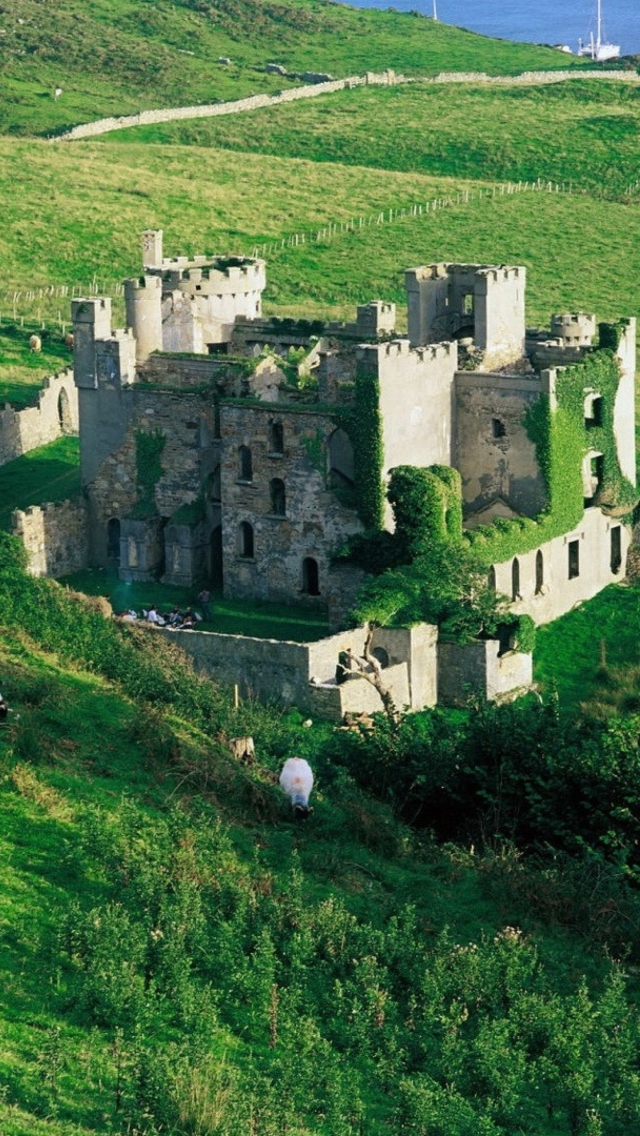 Medieval Castle On Green Hill wallpaper 640x1136