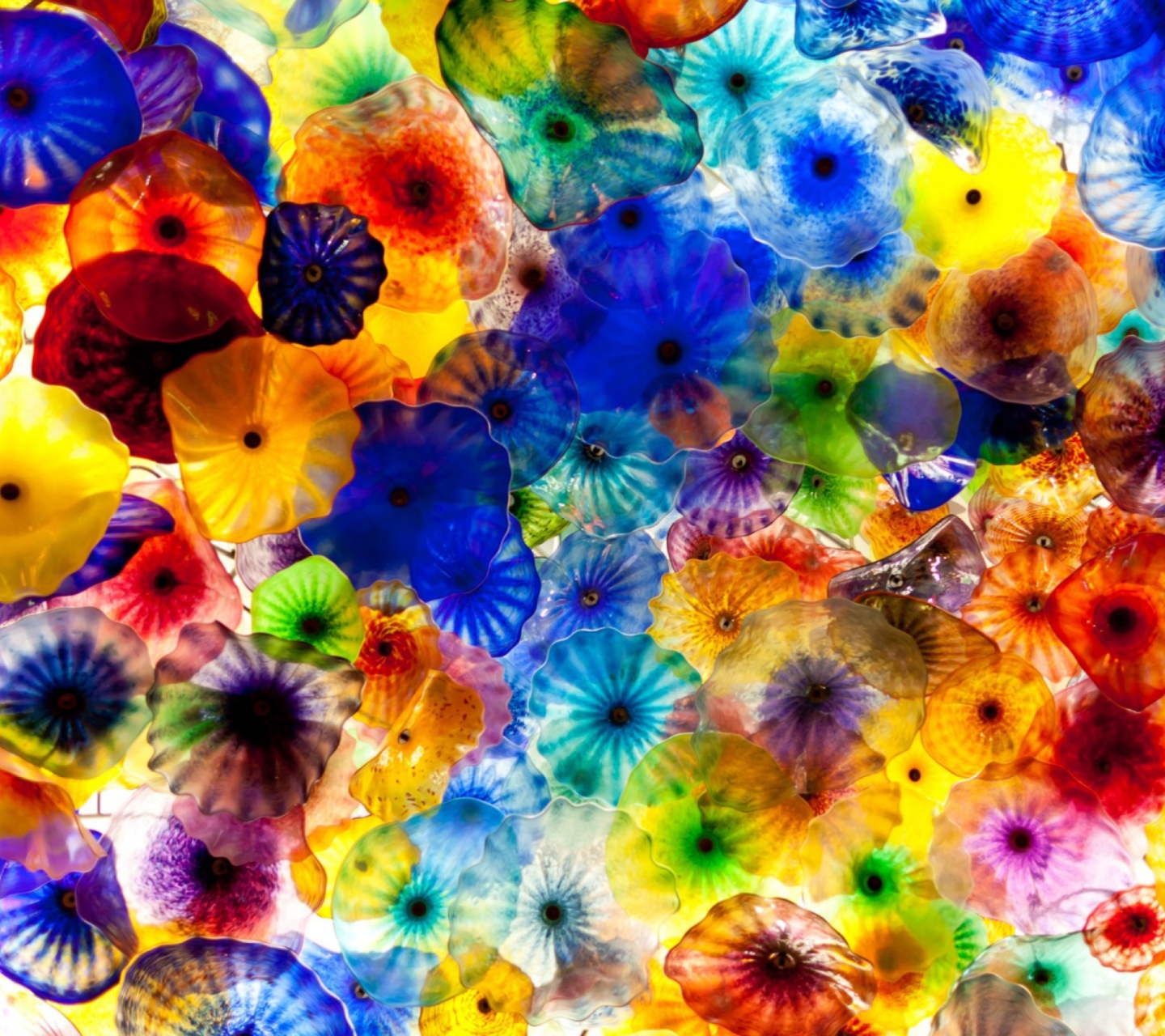 Das Colored Glass Wallpaper 1440x1280