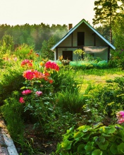 Country house with flowers wallpaper 176x220