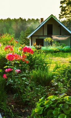 Fondo de pantalla Country house with flowers 240x400