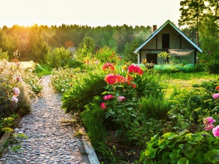 Обои Country house with flowers 320x240