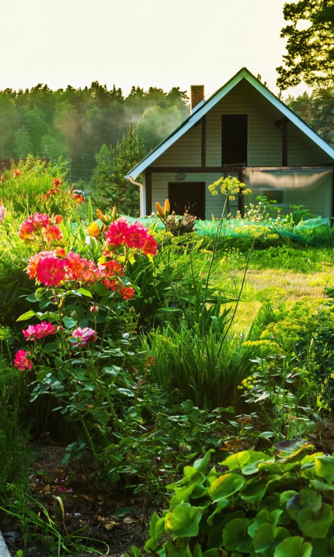 Sfondi Country house with flowers 480x800