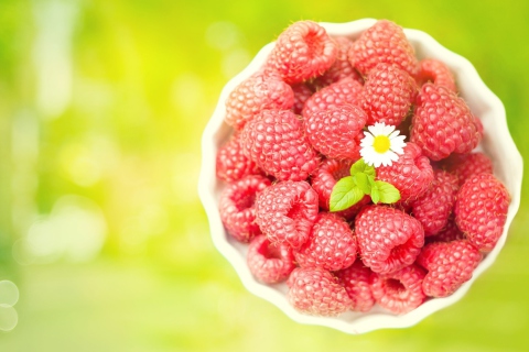 Das Little Daisy Among Red Raspberries Wallpaper 480x320