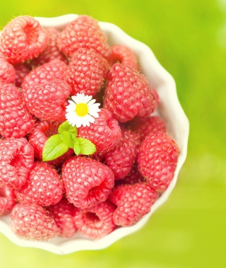 Little Daisy Among Red Raspberries - Obrázkek zdarma pro 750x1334