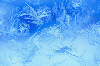 Winter Window Design - Obrázkek zdarma pro 640x480