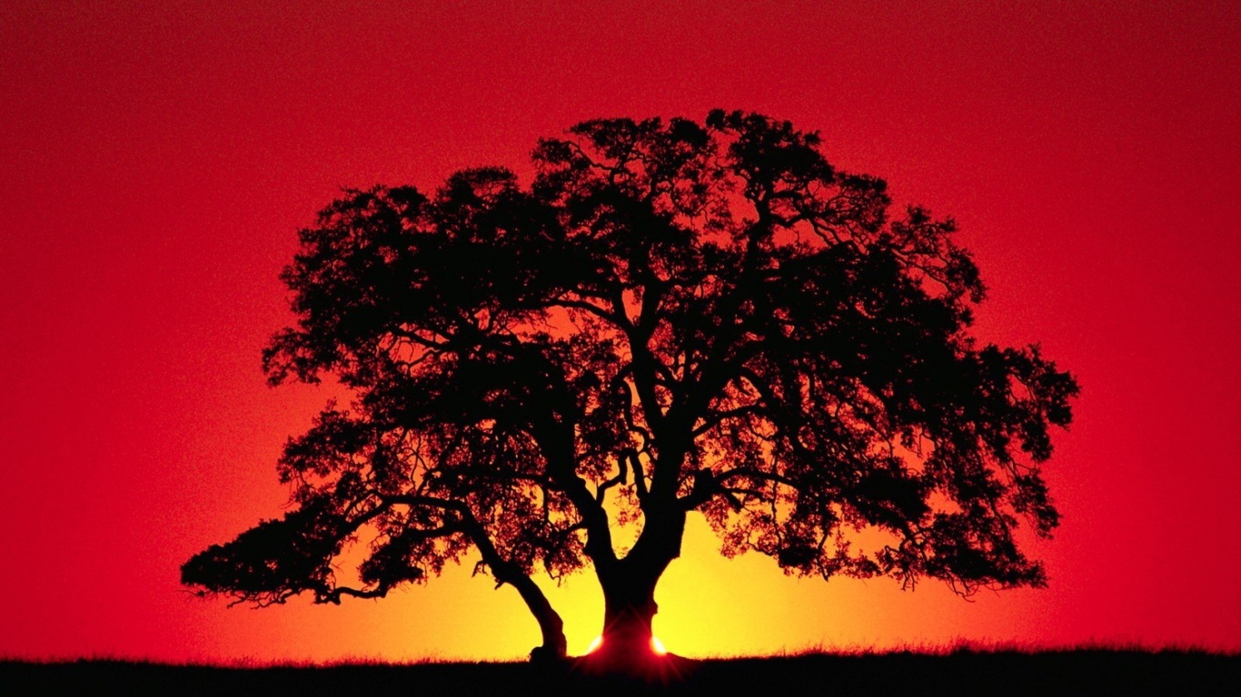 Kenya Savannah Sunset wallpaper 1366x768