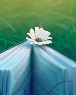 Flower And Book - Obrázkek zdarma pro iPhone 6
