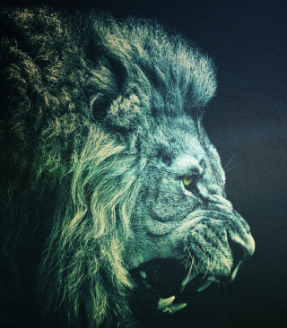 Lion - Obrázkek zdarma pro iPhone 6